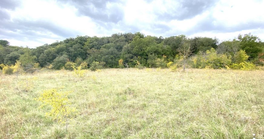 vente Terrain à aménager Saint Martin De Valgalgues