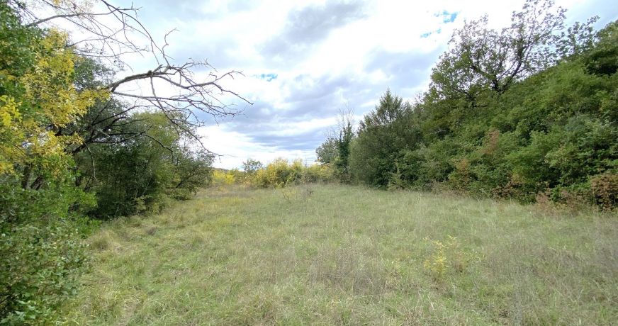 vente Terrain à aménager Saint Martin De Valgalgues