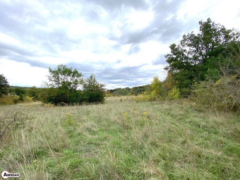 vente Terrain constructible Saint Martin De Valgalgues - Photo 3