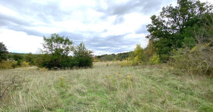 vente Terrain à aménager Saint Martin De Valgalgues
