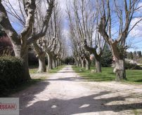 A vendre Saint Andiol | Réf 34070120355 - Abessan immobilier