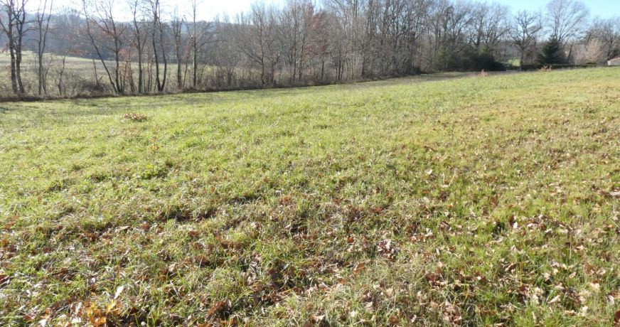 vente Terrain constructible Cordes-sur-ciel