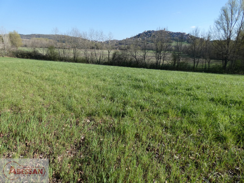 vente Terrain constructible Cordes-sur-ciel - Photo 3