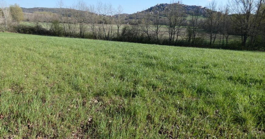 vente Terrain constructible Cordes-sur-ciel
