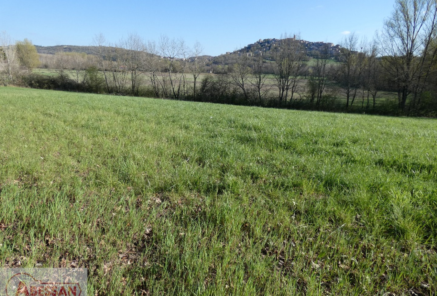 vente Terrain constructible Cordes-sur-ciel - Photo 3