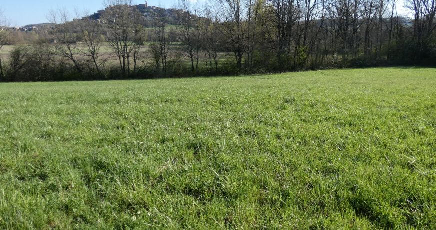 vente Terrain constructible Cordes-sur-ciel