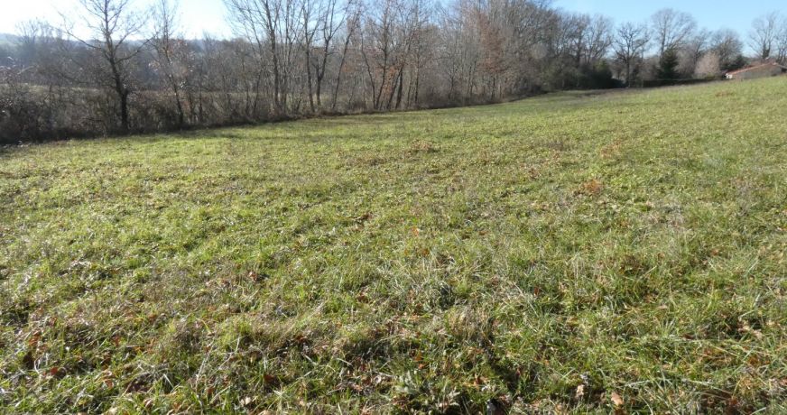 vente Terrain constructible Cordes-sur-ciel
