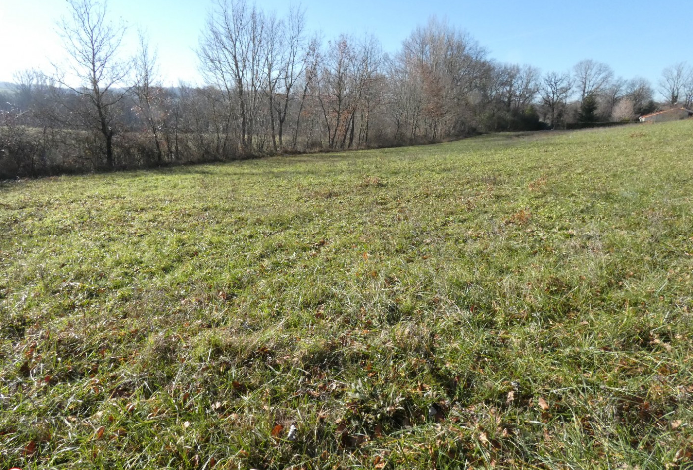 vente Terrain constructible Cordes-sur-ciel - Photo 7
