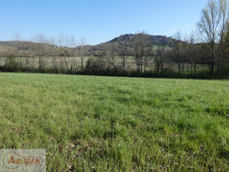 vente Terrain constructible Cordes-sur-ciel - Photo 1