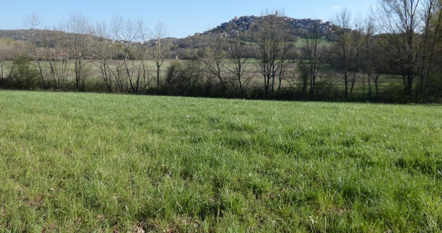 vente Terrain constructible Cordes-sur-ciel