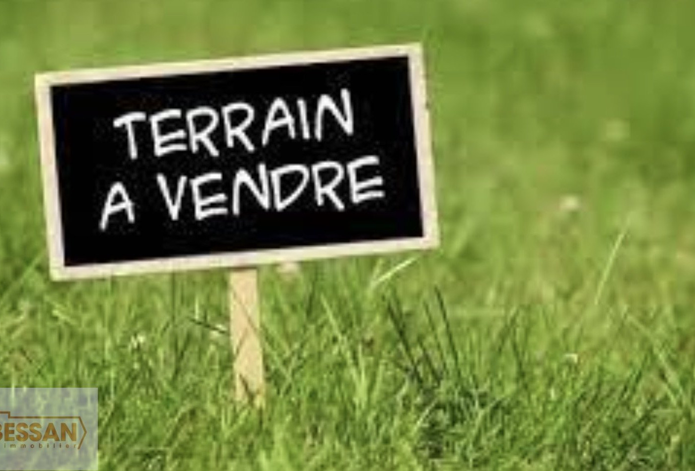 vente Terrain agricole Saint Martin De Valgalgues - Photo 3