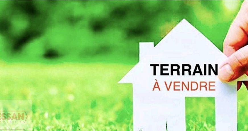 vente Terrain agricole Saint Martin De Valgalgues