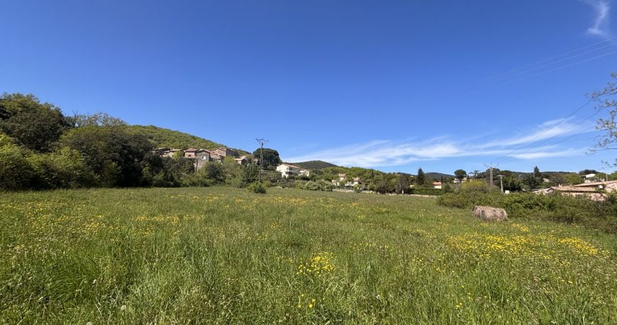 vente Terrain agricole Saint Martin De Valgalgues