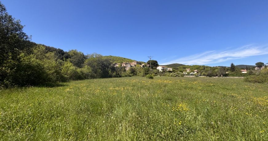 vente Terrain agricole Saint Martin De Valgalgues