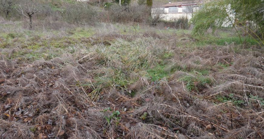 vente Terrain constructible Cordes-sur-ciel