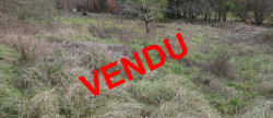 vente Terrain constructible Cordes-sur-ciel