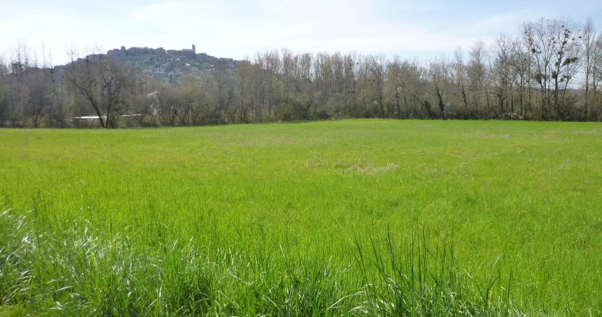 vente Terrain constructible Cordes-sur-ciel