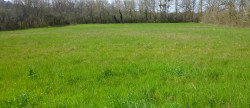vente Terrain constructible Cordes-sur-ciel