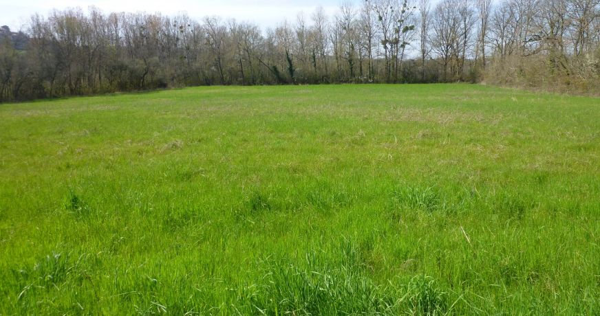 vente Terrain constructible Cordes-sur-ciel