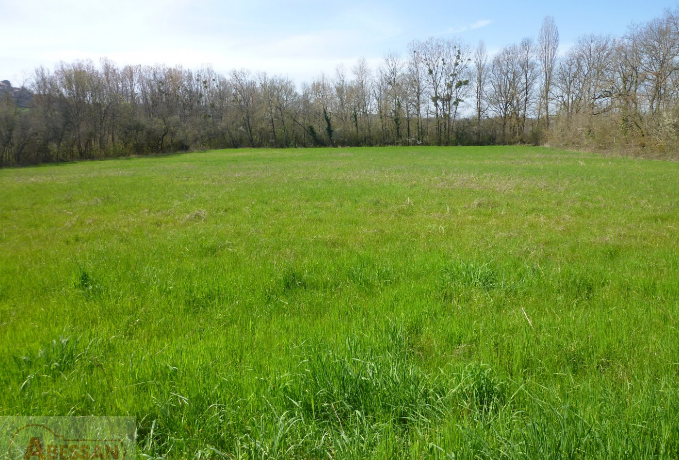 vente Terrain constructible Cordes-sur-ciel - Photo 5