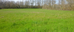 vente Terrain constructible Cordes-sur-ciel