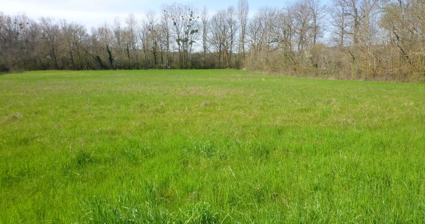 vente Terrain constructible Cordes-sur-ciel