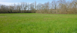 vente Terrain constructible Cordes-sur-ciel