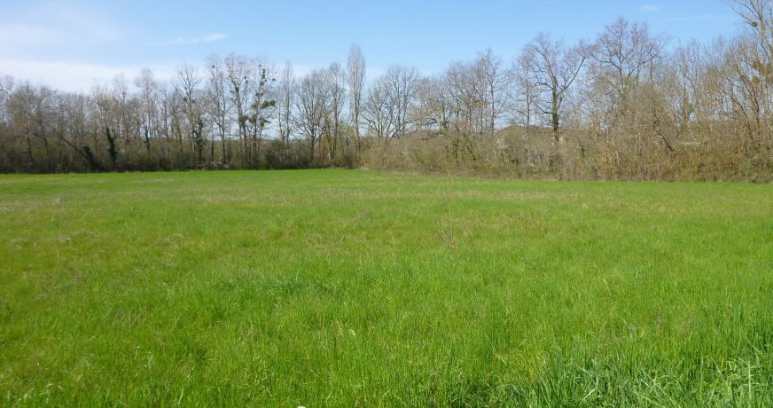 vente Terrain constructible Cordes-sur-ciel
