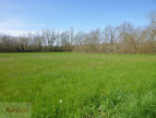 vente Terrain constructible Cordes-sur-ciel