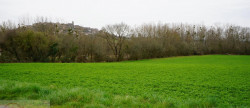 vente Terrain constructible Cordes-sur-ciel