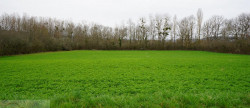 vente Terrain constructible Cordes-sur-ciel