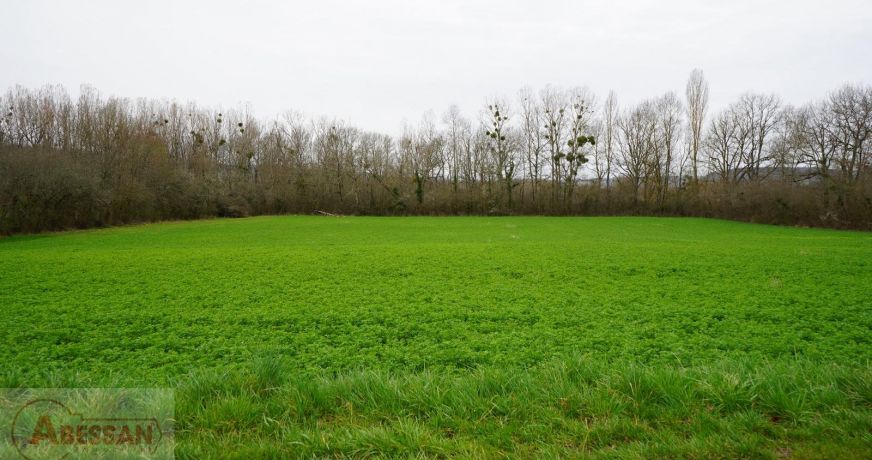 vente Terrain constructible Cordes-sur-ciel
