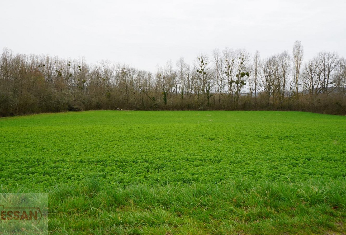 vente Terrain constructible Cordes-sur-ciel - Photo 3