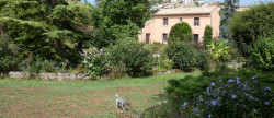 vente Maison individuelle Cordes-sur-ciel