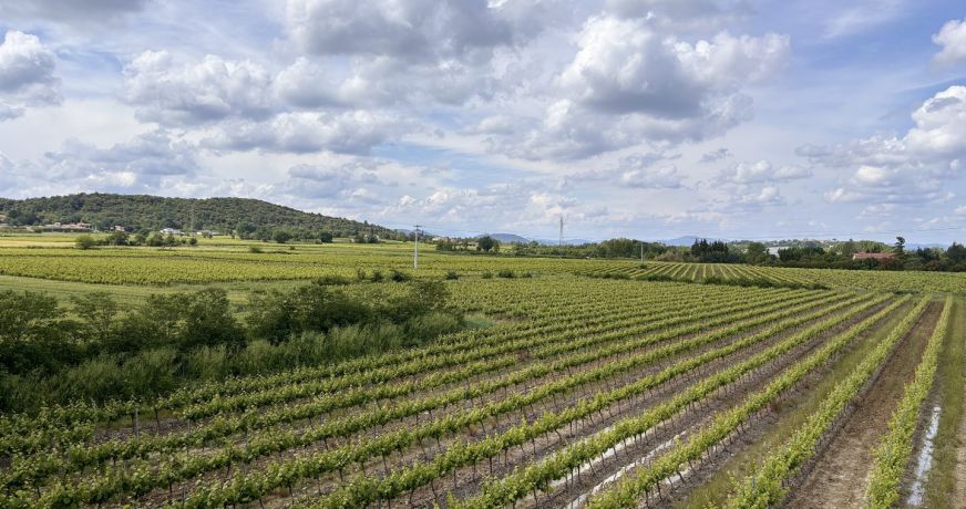 vente Mas de village Ribaute Les Tavernes