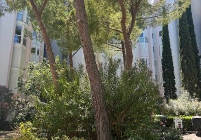 vente Appartement Montpellier