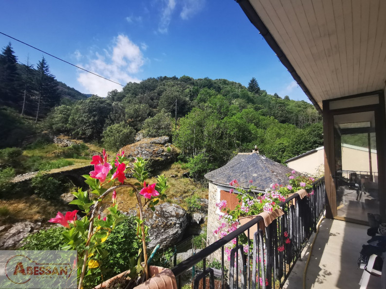 vente Propriété pied dans l'eau Saint Andre De Valborgne - Photo 1