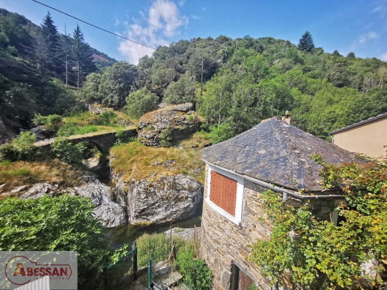 vente Propriété pied dans l'eau Saint Andre De Valborgne - Photo 10