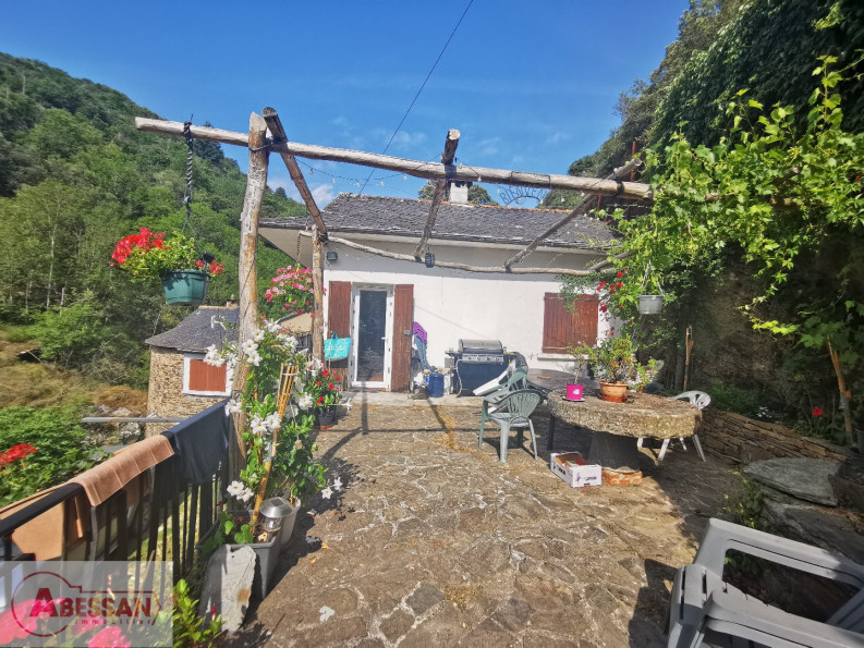 vente Propriété pied dans l'eau Saint Andre De Valborgne - Photo 4