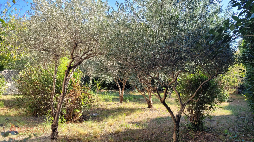 vente Maison Sisteron - Photo 9