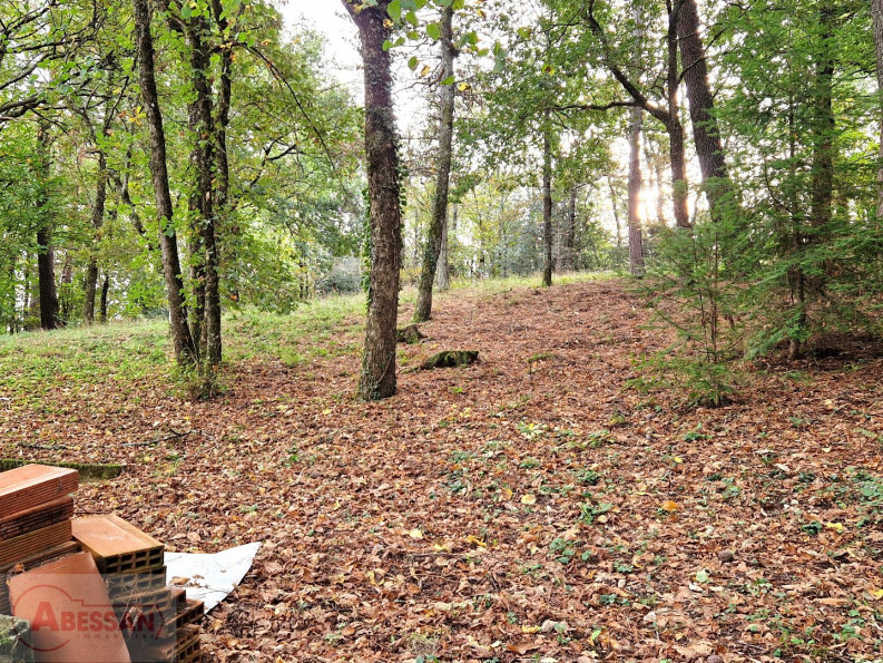 vente Maison de campagne Castres - Photo 4