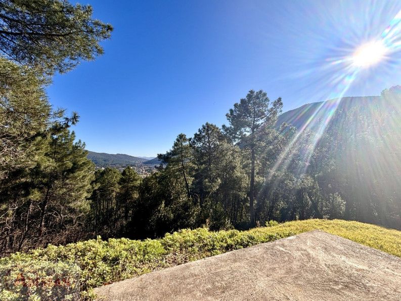vente Maison de campagne Saint Florent Sur Auzonnet - Photo 2