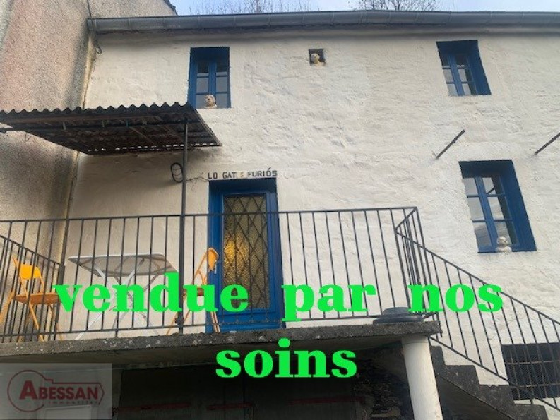 vente Maison de campagne Vabre - Photo 1