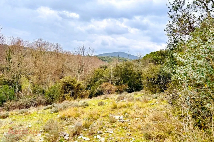 vente Terrain de loisir Monoblet - Photo 4