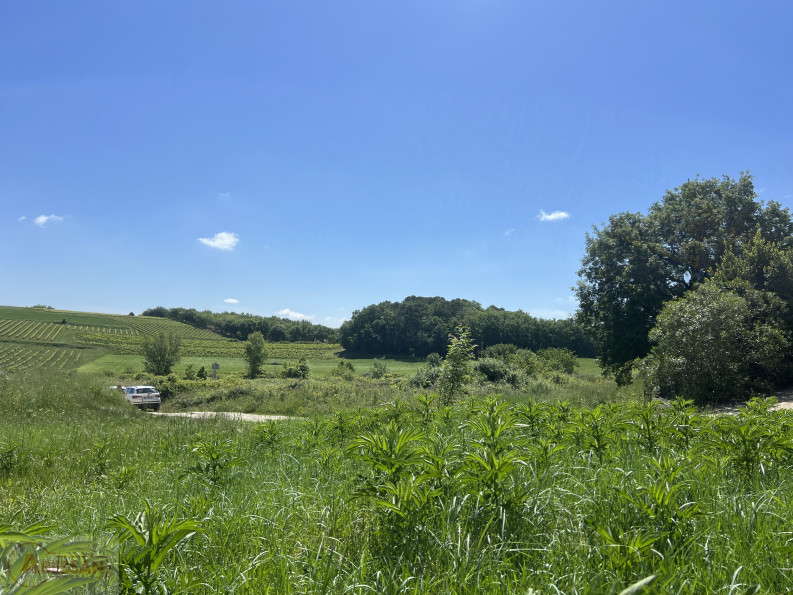 vente Terrain Saint Maurice De Cazevieille - Photo 1