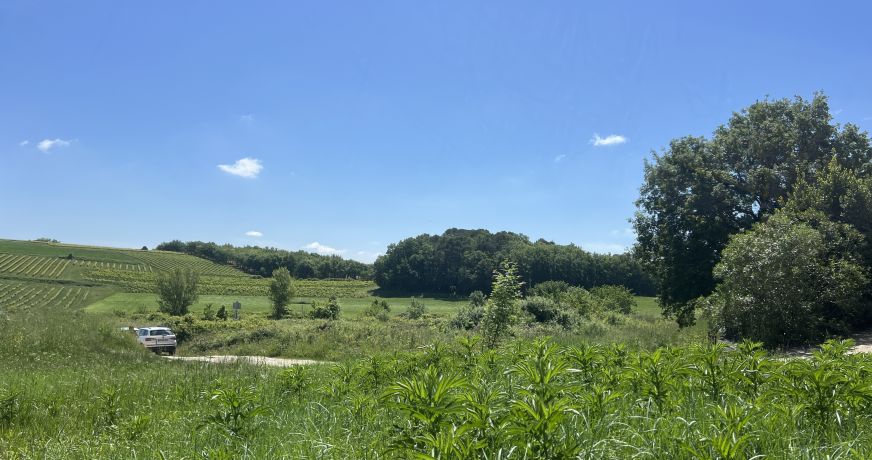 vente Terrain Saint Maurice De Cazevieille