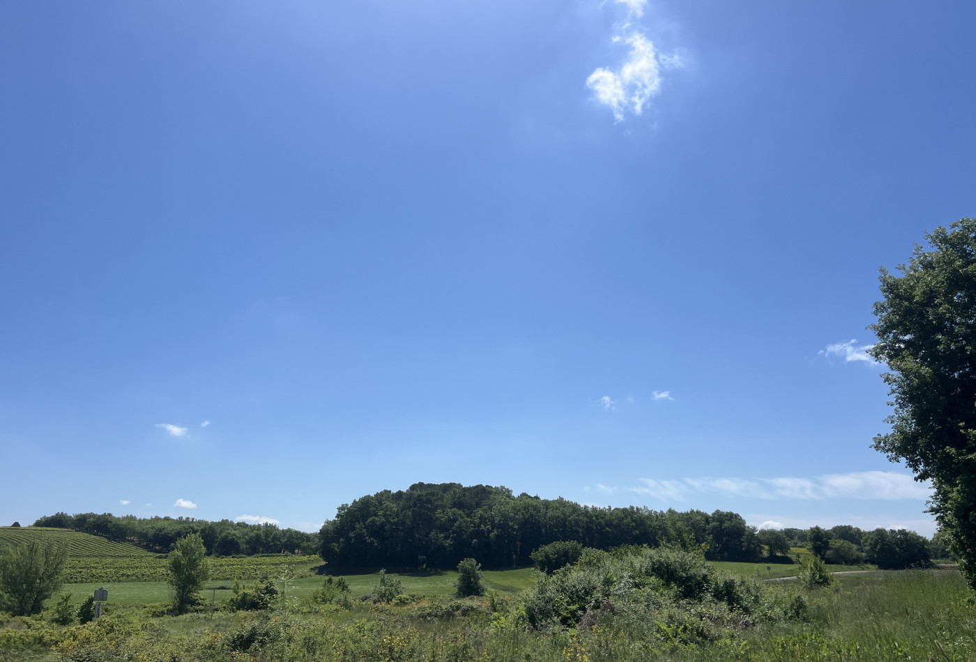 vente Terrain Saint Maurice De Cazevieille - Photo 4