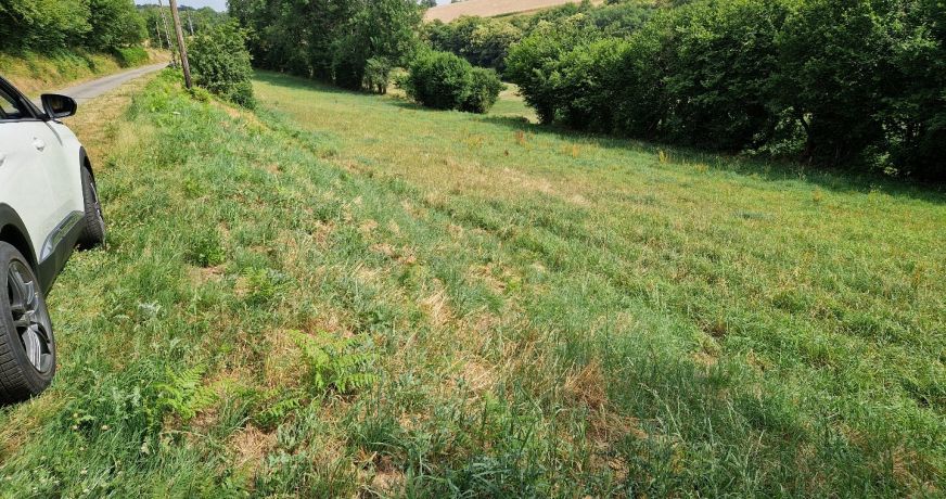 vente Terrain constructible Vabre
