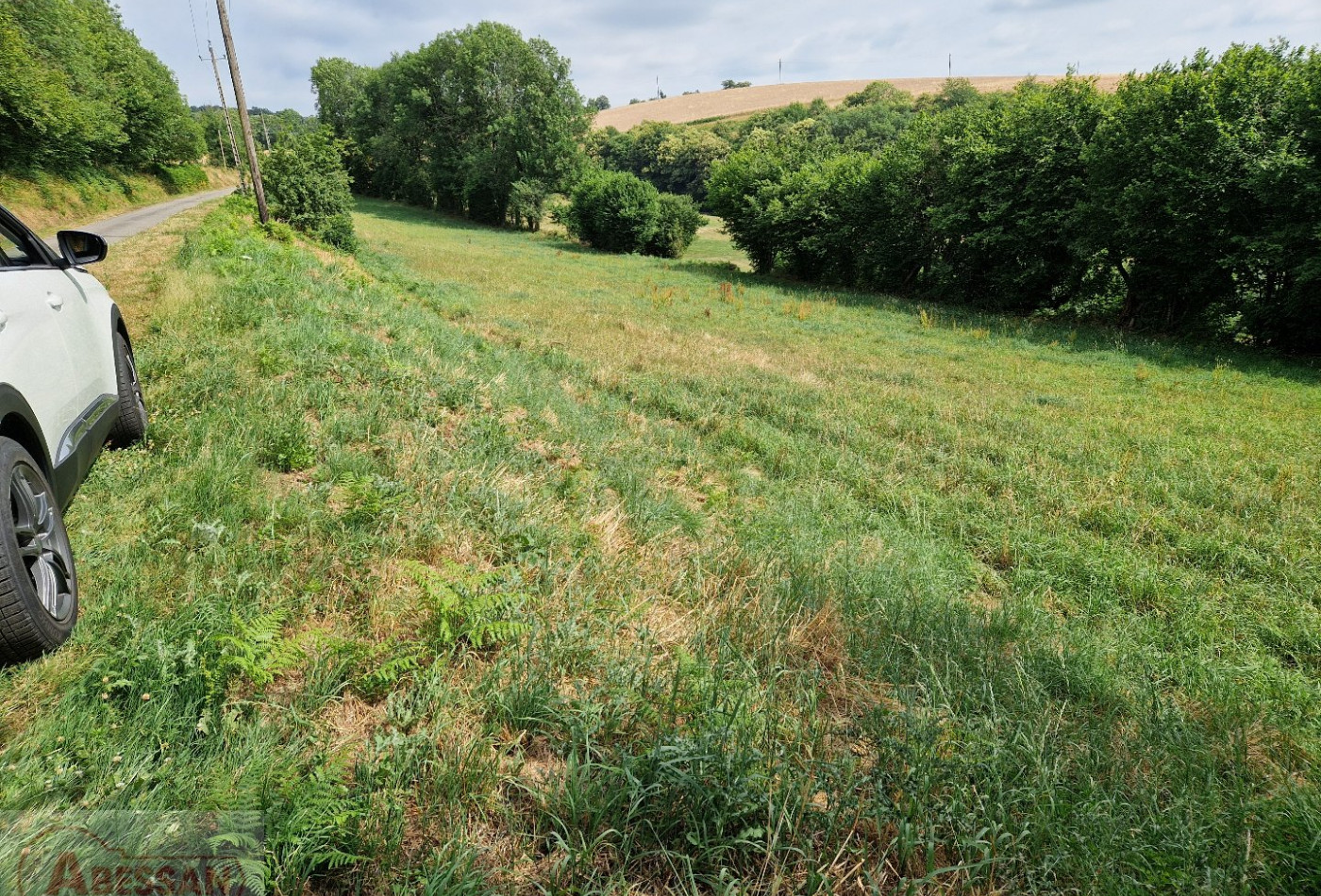 vente Terrain constructible Vabre - Photo 4