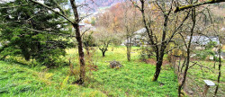 vente Terrain constructible Vabre